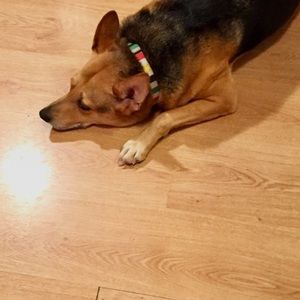 Meet your Posher, Janette